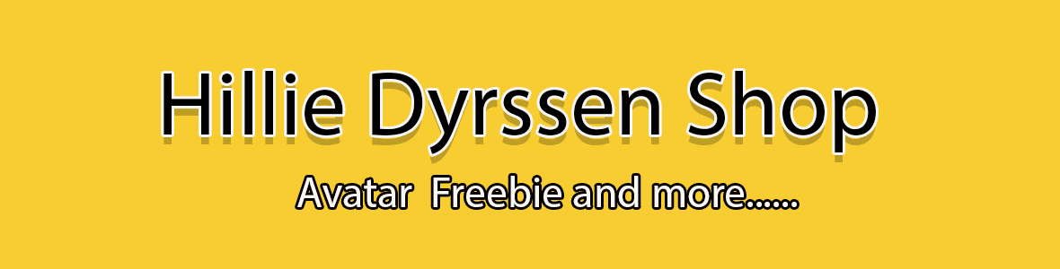 Hillie Dyrssen's Store banner