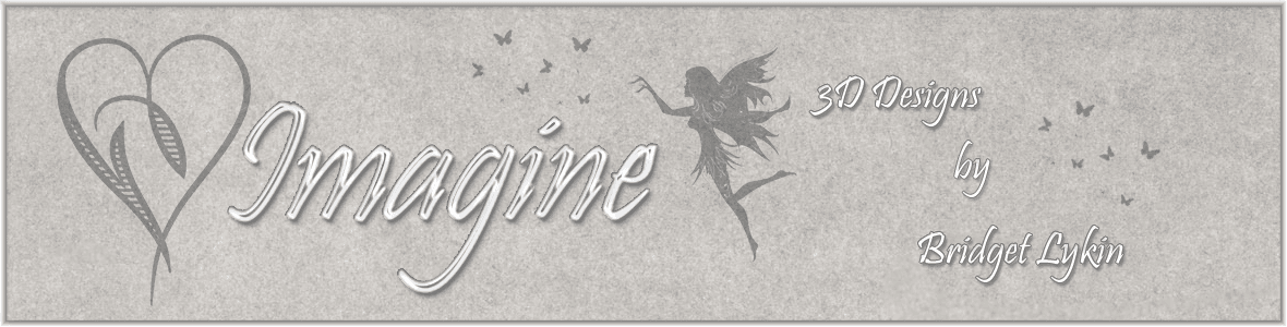 Bridget Lykin's Store banner