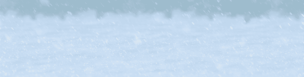 Teddy's Store banner