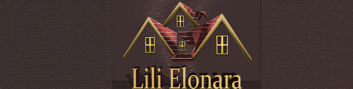 Lili Eleonara's Store banner