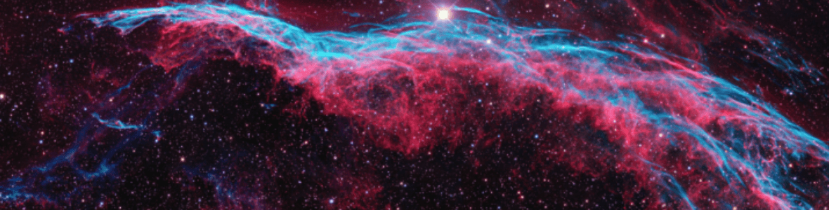 Scully's Store banner