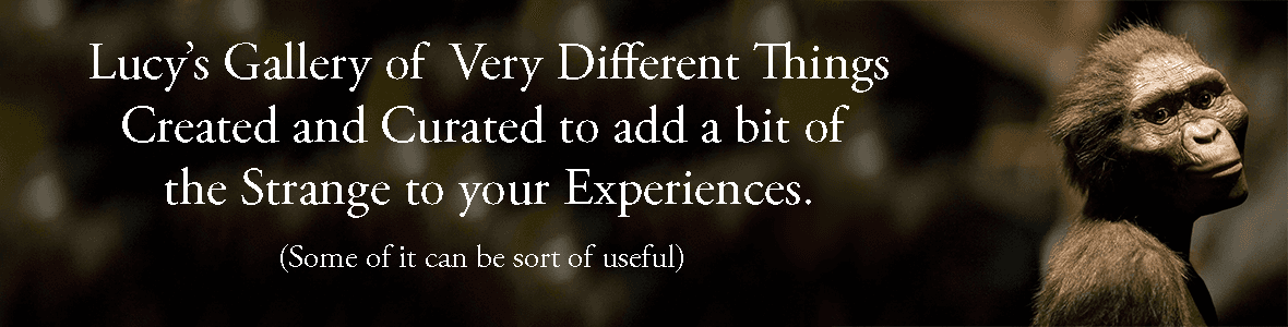 Lucy Afarensis's Store banner